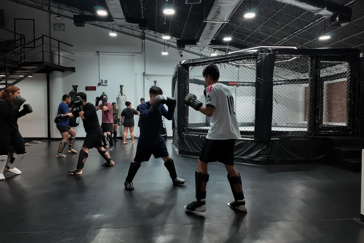 Sala principal — sparring frente a la jaula